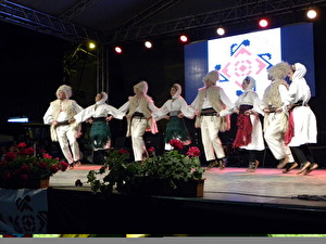 DSCN0061.jpg